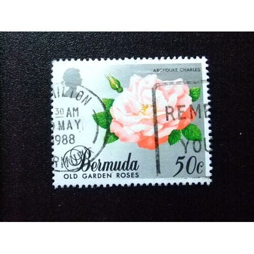 50 Bermudes 1988 / Fleurs - Archiduc Charles / Yvert 527 Fu