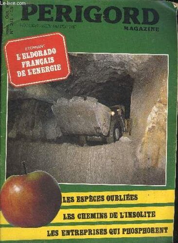 Perigord Magazine N°211 - Sarlat À L'épreuve Du Chateau De Campagnac - Canul Art À Lascaux - Lalinde Et Ses Tam Tams - La Trisite Histoire De M.Raffin - Les Ardoises Les Écrevisses La ...