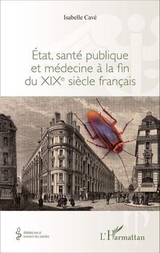 Etat, Santé Publique Et Médecine À La Fin Du Xixe Siècle Français
