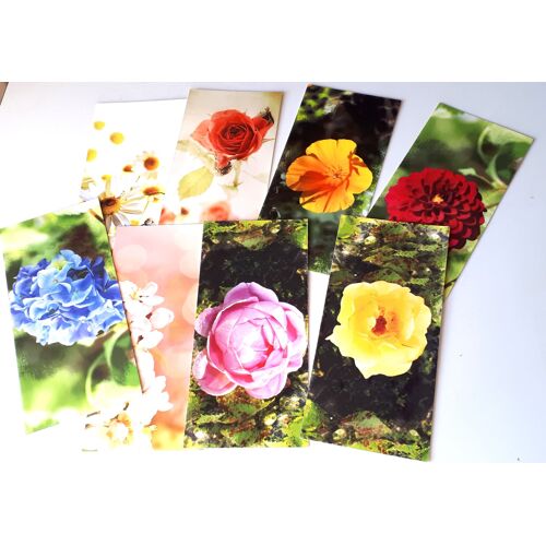 Huit Cartes Doubles Avec De Très Belles Fleurs Aux Coloris Vifs (Toutes Différentes) -19x9cm-   Éditées Par Les Petits Frères Des Pauvres