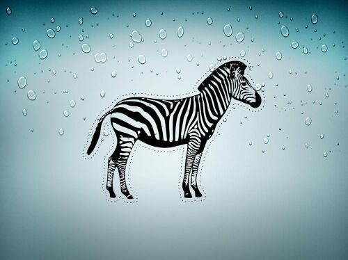 Autocollant Sticker Voiture Moto Macbook Zebre Animaux Decoration Chambre R2