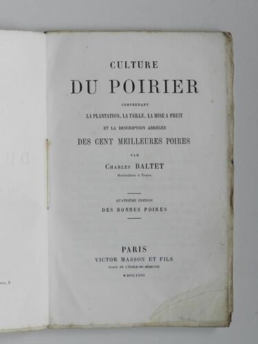 Culture Du Poirier ( 100 Meilleures Poires ) 1867