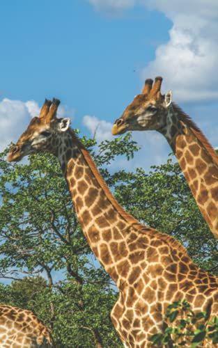 Shopping Planner: Pocket Sized Book To Plan Your Shop. 5x8" (12.7 X 20.32cm). List & Check Off Your Purchases Of Food, Drink, Toiletries And Other. Unique Cover Design