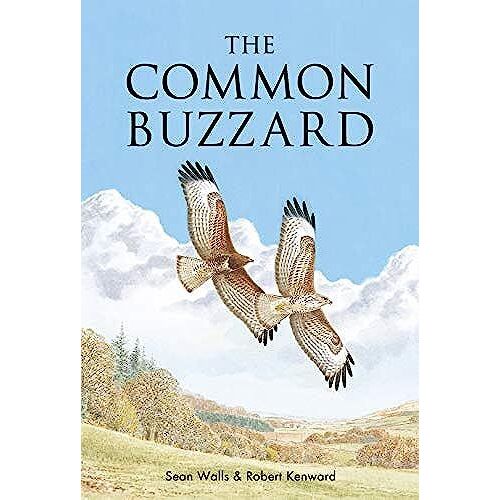 The Common Buzzard