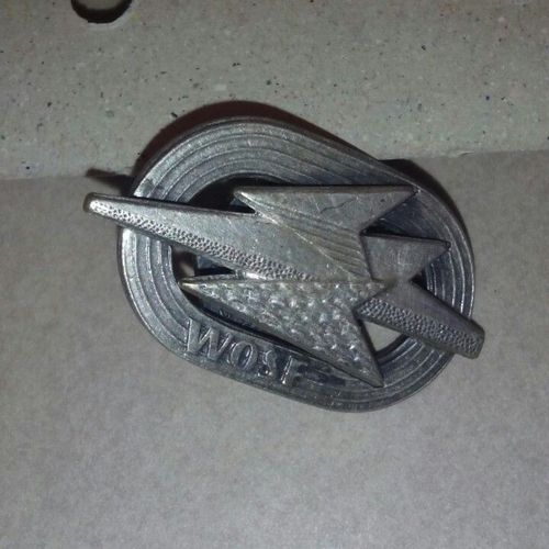 Insigne Armée De L'air Polonais 