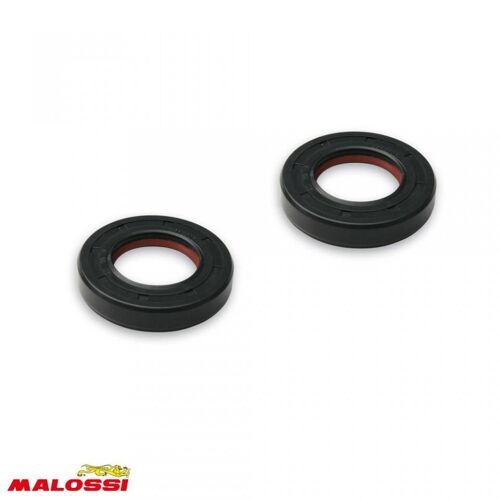 Joint Spi Moteur Malossi Pour Moto Bultaco 50 Astro 1999 À 2017 6615300e Neuf