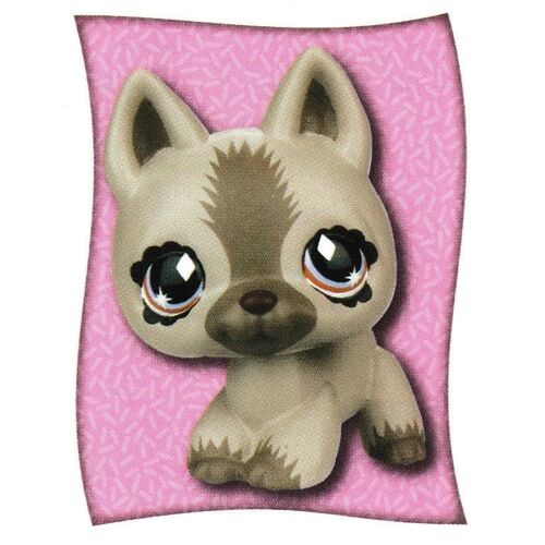 N° 62 - Stickers Image Panini Littlest Pet Shop L'ecrin Secret