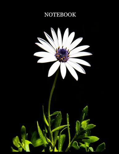 Notebook: Wide-Ruled 8.5" X 11" -110 Pages For Girls, Teens, Adults And Students (Composition Notebooks).