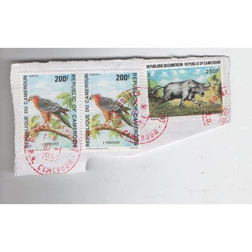 Timbre République Cameroun 3 Oiseau Animaux L'epervier 