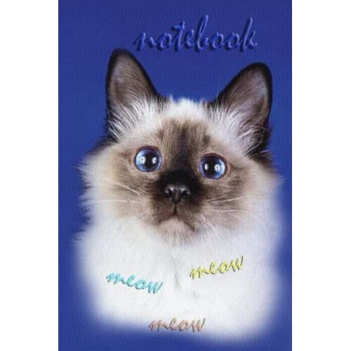 Kitten Notebook