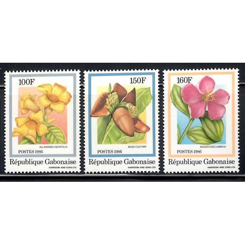 3 Fleurs Du Gabon