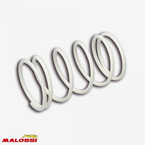 Ressort D Embrayage Malossi Pour Scooter Yamaha 50 Neos 29 7047.W0 Neuf