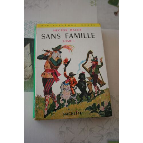 Sans Famille Tome 1 Et Tome 2