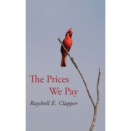 The Prices We Pay