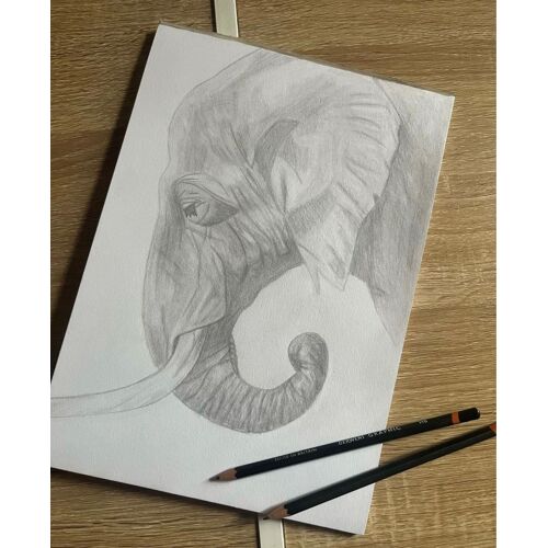 Dessin Fait Main Éléphant 