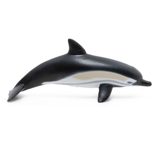 L'univers Marin Dauphin Commun