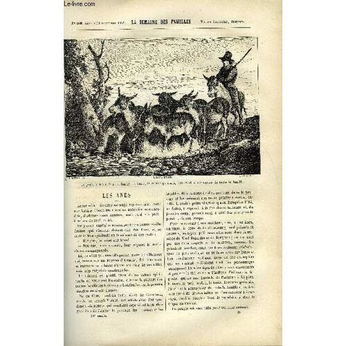 La Semaine Des Familles 21eme Annee N°35 - Les Anes De L'oncle Jacques, Souvenirs D'un Entretien Sur Descartes Iii De Therese Alphonse Karr, La Famille Hartmann Iii De Marie Guerrier De ...