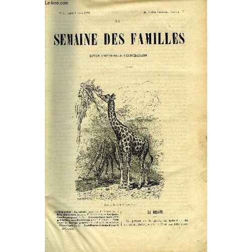 La Semaine Des Familles 34eme Annee N°1 - La Girafe De E. Valville, Mademoiselle Richelieu De E. Villetard, La Question Du Chapeau De L, Lecons D'une Tante De Lia Saul, Comment Je Devins ...