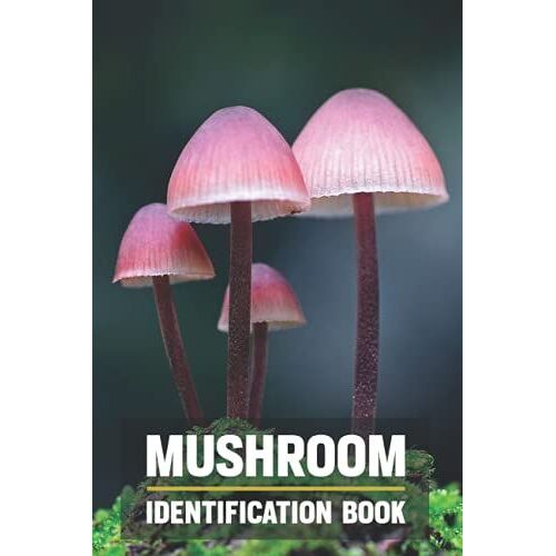 Mushroom Identification Book.: Mushroom Hunting Journal And Identify Log Book For Mushroom Lovers, Record Details About Mushroom.