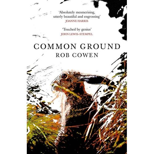 Common Ground