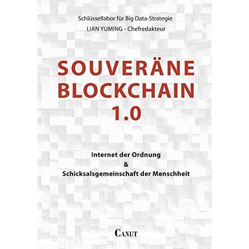 Souverã¿Ne Blockchain 1.0: Internet Der Ordnung Und Schicksalsgemeinschaft Der Menschheit