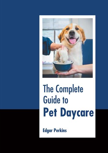The Complete Guide To Pet Daycare