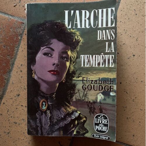 Larche Dans La Tempête