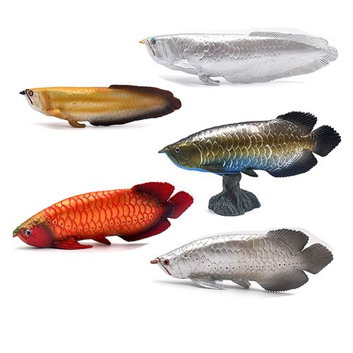 Simulation De Poisson Arowana, Écureuil Chinois D'eau Douce, Modèle De Jouet D'aquarium, Décor, Jouets Éducatifs Pour Enfants, Cadeaux