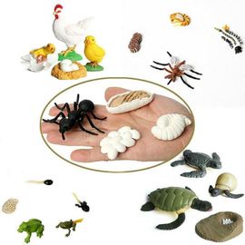 Figurines D'animaux, Grenouille, Moustique, Tortue De Mer, Poulet, Papillon, Cycle De Croissance, Jouets, Simulation Du Cycle De Vie