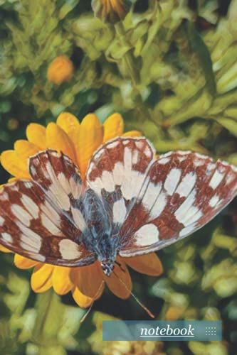 Only Dots Notebook Brown Butterfly Geometric Composition: Dot Grid Journal, Diy 6x9 Size 160 Pages To Create Your Own Ideas: For School, Work & Fun