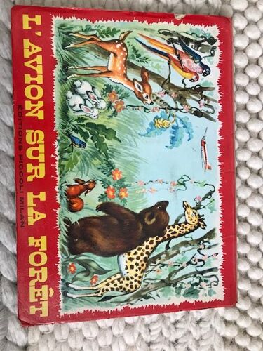 L'avion Sur La Forêt