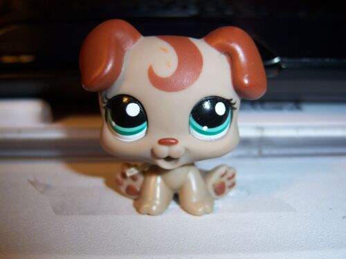 Petshop Chiot N°1197