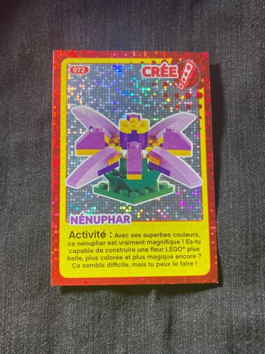 Carte Lego Auchan 72