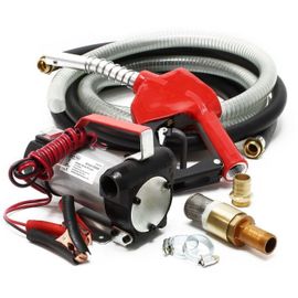 Varan Motors - CYB150 Pompe à fuel diesel gasoil 12V 40l/min 160W avec crépine, pistolet automatique et clapet anti retour, pompe de transfert