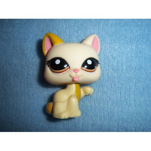 Petshop Chat Chartreux N°1692