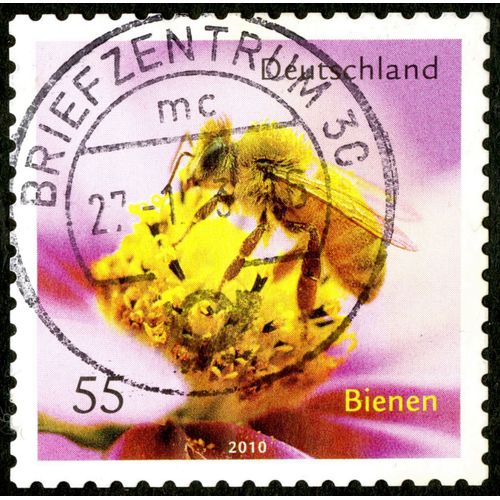 Timbre Oblitéré Deutschland, Bienen, 2010, 55