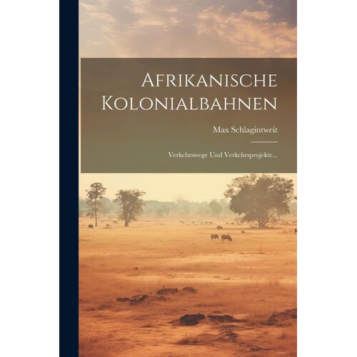 Afrikanische Kolonialbahnen: Verkehrswege Und Verkehrsprojekte...
