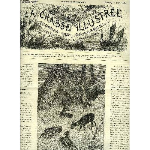 La Chasse Illustree N° 23  L'exposition Canine D'anvers Par Bellecroix - Exposition Canine De Paris - Médecine Canine Par Percheron - Une Saint Hubert Par Chapuy - Bibliographie - La Chasse ...
