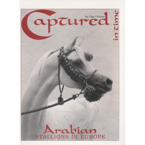 Captured In Times : Arabian Stallions In Europe