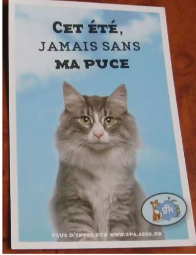Carte Postale Humoristique En Couleurs De La Spa Pour L'identification Des Animaux : Cet Été, Jamais Sans Ma Puce - Modèle Chat -10x15cm