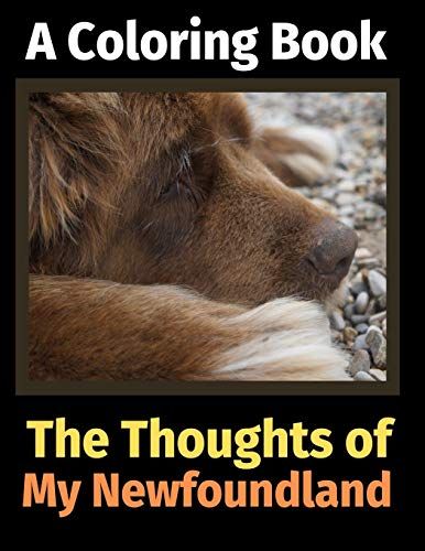 The Thoughts Of My Newfoundland: A Coloring Book
