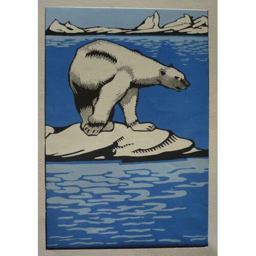 Illustration : Ours Polaire