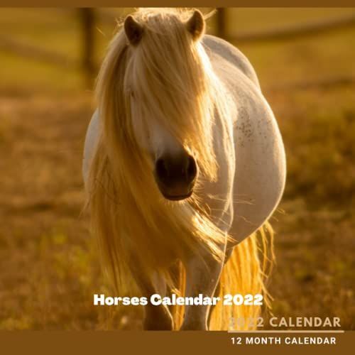 Horses Calendar 2022: Just Horses Squared Monthly Calendar Mini Planner 12 Months 2022 January To December 2022 With Ca Holidays, Notes And Important Goals