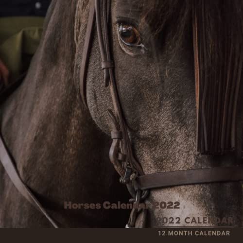 Horses Calendar 2022: Just Horses Squared Monthly Calendar Mini Planner 12 Months 2022 January To December 2022 With Us Holidays, Notes And Important Goals