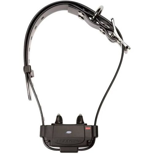 Collier Anti-Fugue - Num'axes - Canifugue Fug1034 - Noir