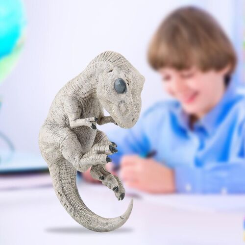 Simulation De Dinosaure Pour Bébé, Modèle Jurassique, Couleur Claire, Réaliste, Apprentissage, Décor De Chambre À Jouet En Plastique, Ornement Cadeau Pour Garçon, Fournitures De Fête