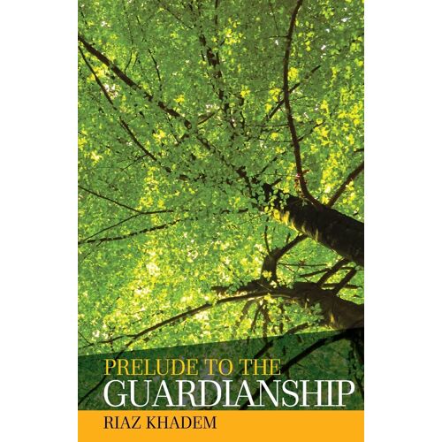 Prelude To The Guardianship