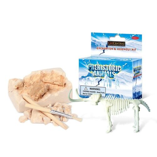 Simulation d'excavation de fossile, Kit d'assemblage d'astronomie, modèle de squelette Animal, jouet biologique 3D amusant