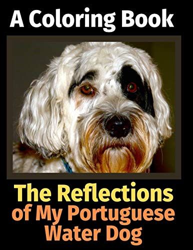The Reflections Of My Portuguese Water Dog: A Coloring Book