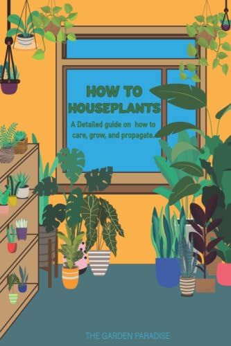 How To Houseplants: A Detailed Guide On How To Care, Grow, And Propagate Your Houseplants